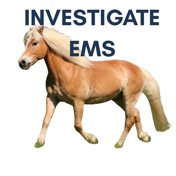 Investigate Equine Metabolic Syndome (EMS)