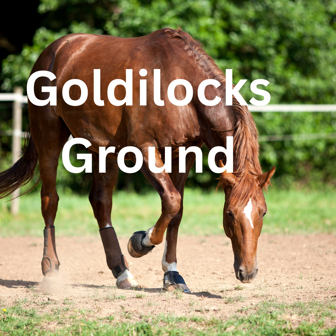 The Goldilocks Ground - Not Too Hard… Not Too Deep… Just Right for Your Horse