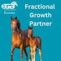 Fractional Growth Partner