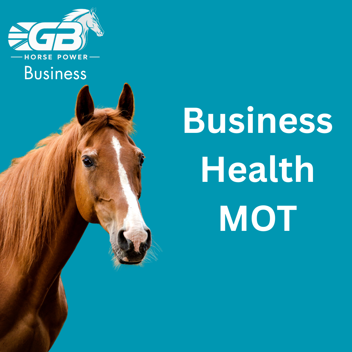 Business Health MOT